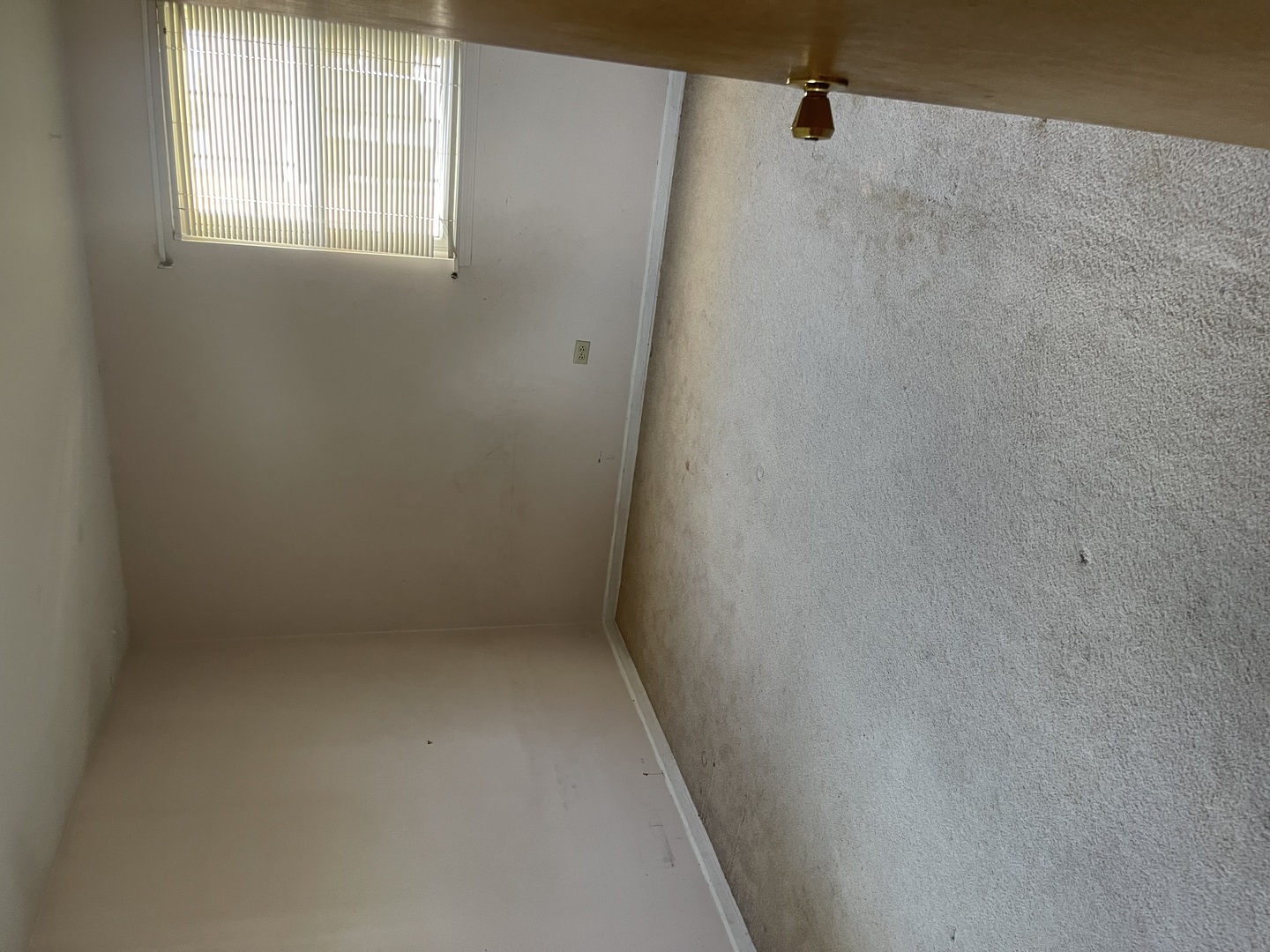 1802 W Willow Lane 1802 Property Photo 4