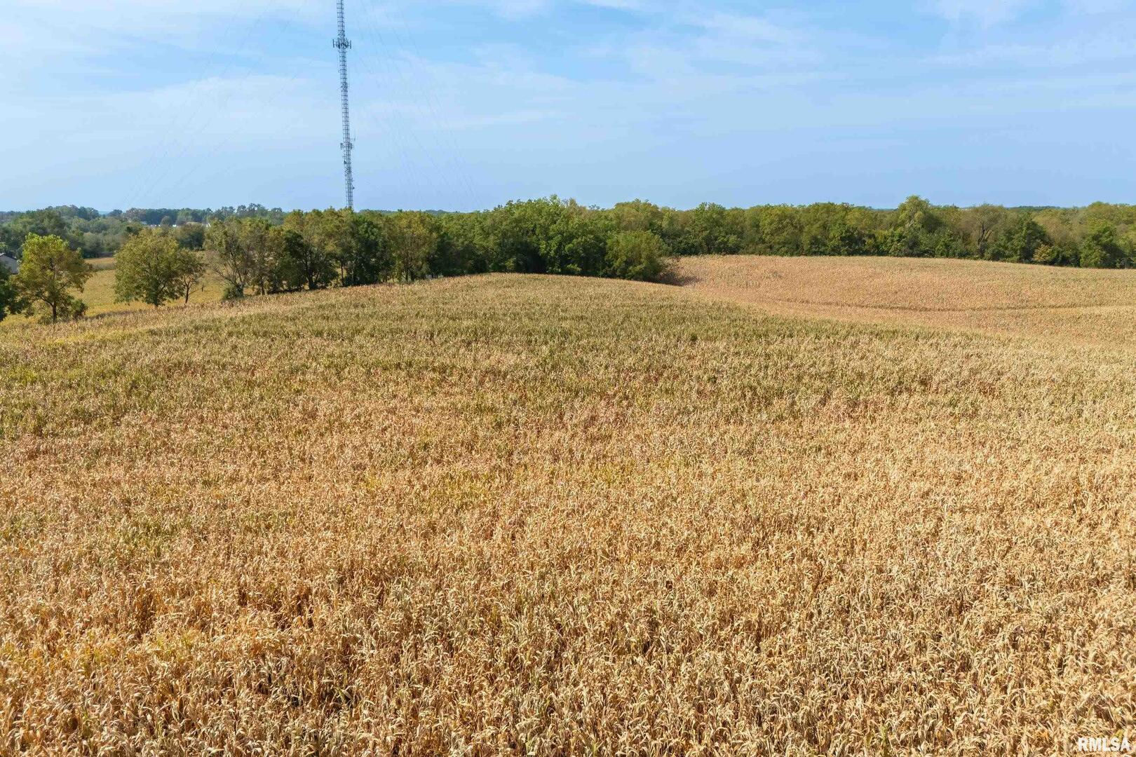 Lot 1 118th Avenue Property Photo 9