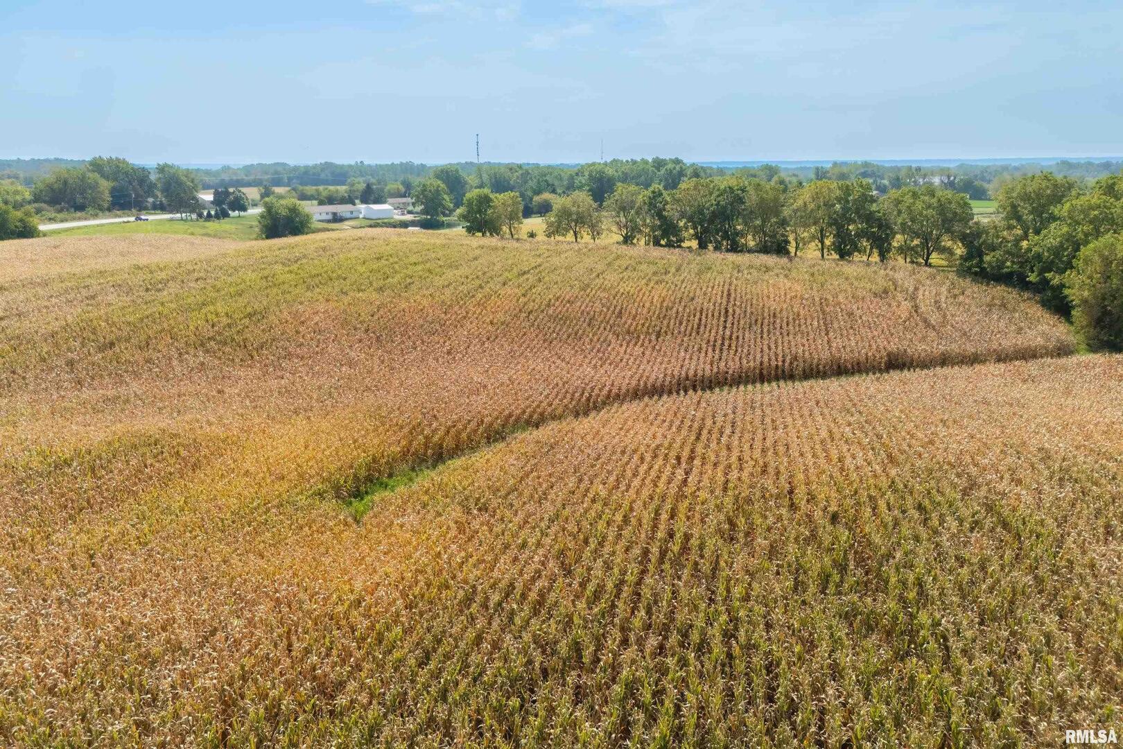Lot 4 118th Avenue Property Photo 13