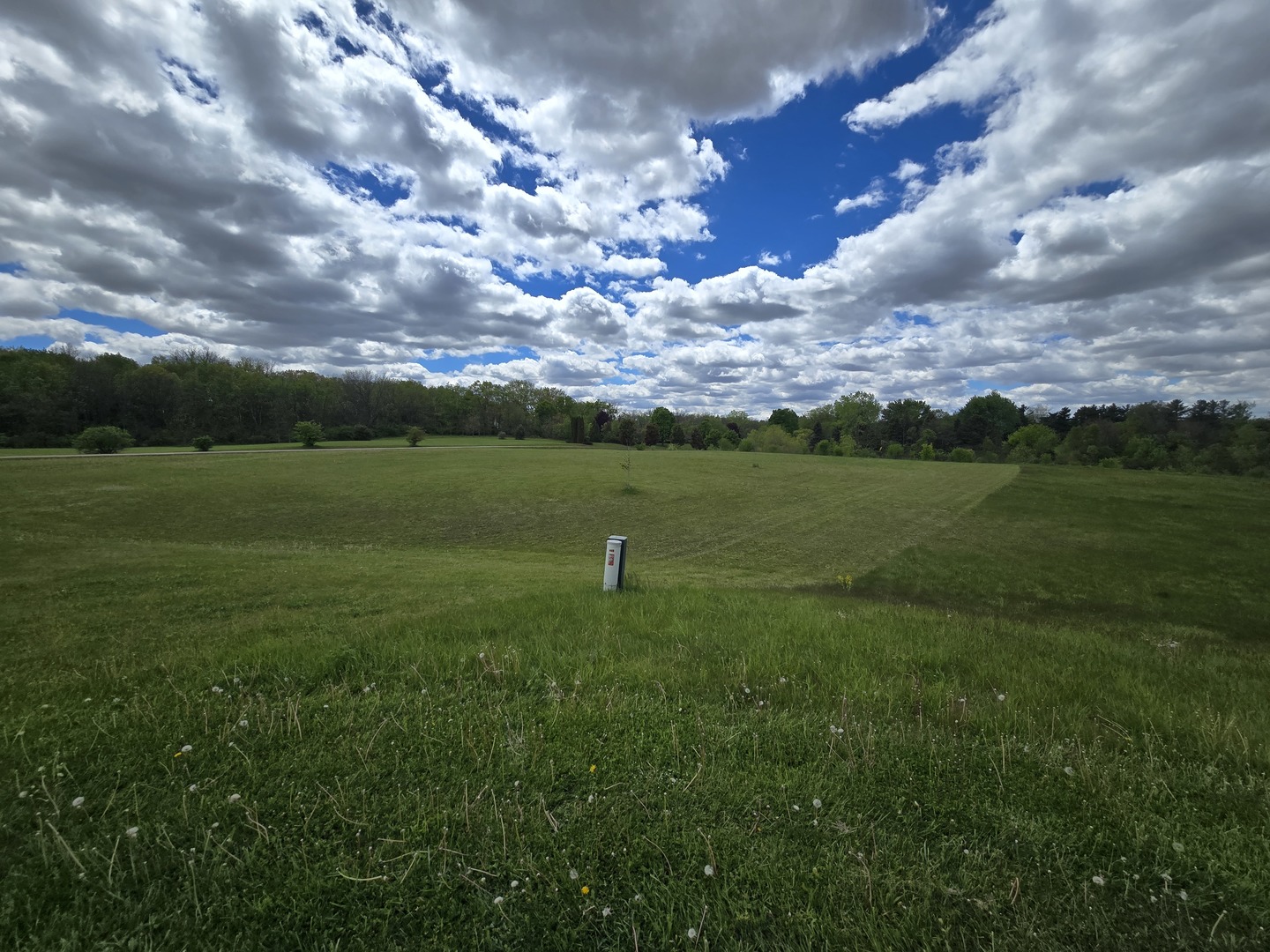 809 Indian Property Photo 4