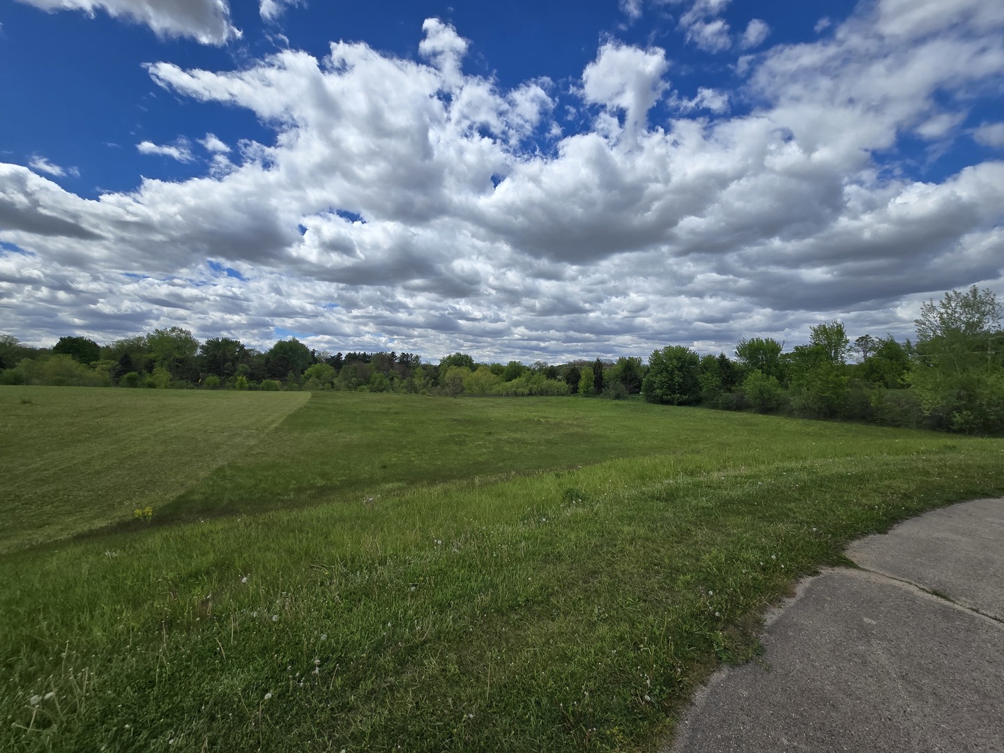 809 Indian Property Photo 6