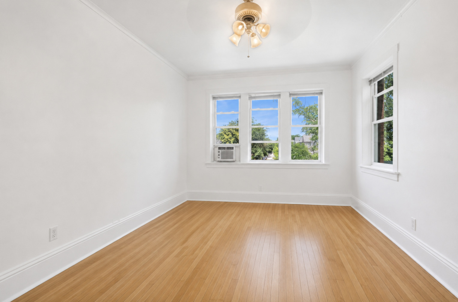 1329 W Addison Street 3a Property Photo 6