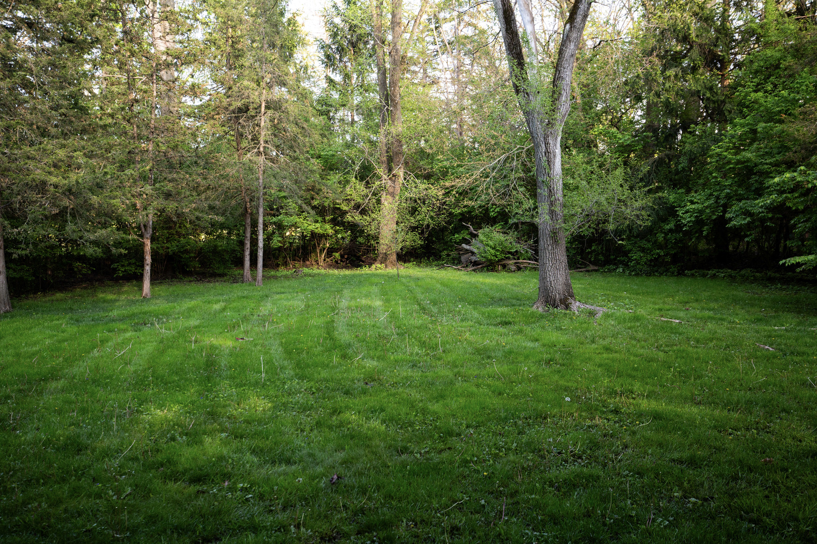 23547 N Raleigh Drive Property Photo 17