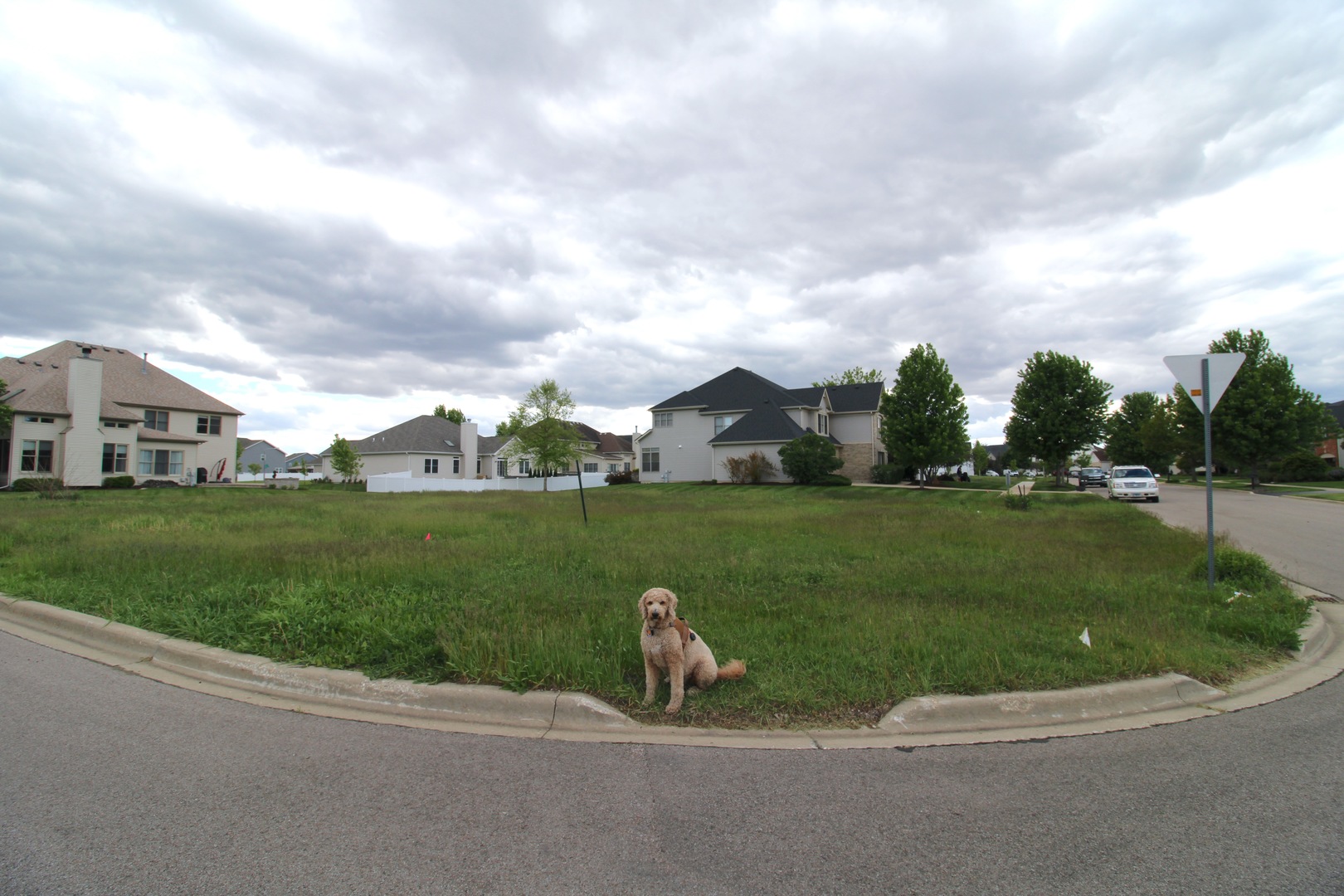 2976 Old Glory Drive Property Photo 1
