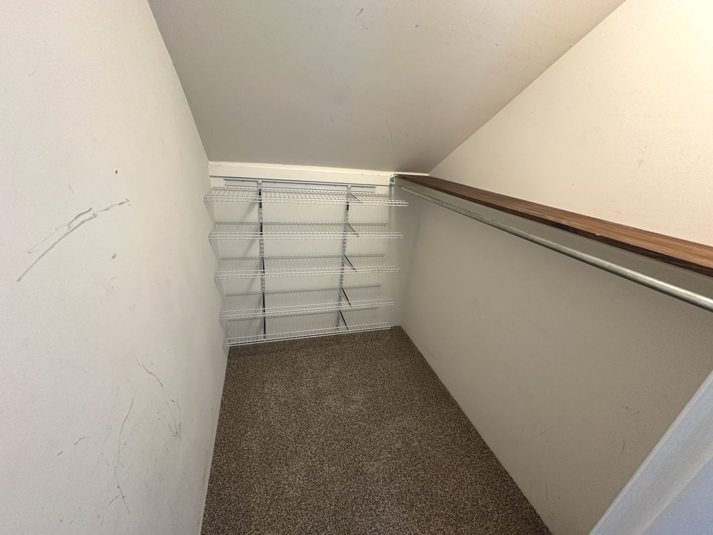 1511 Longwood Drive 1511 Property Photo 22