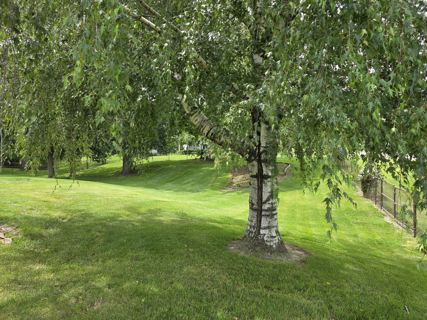 304 Tree Lane Property Photo 18