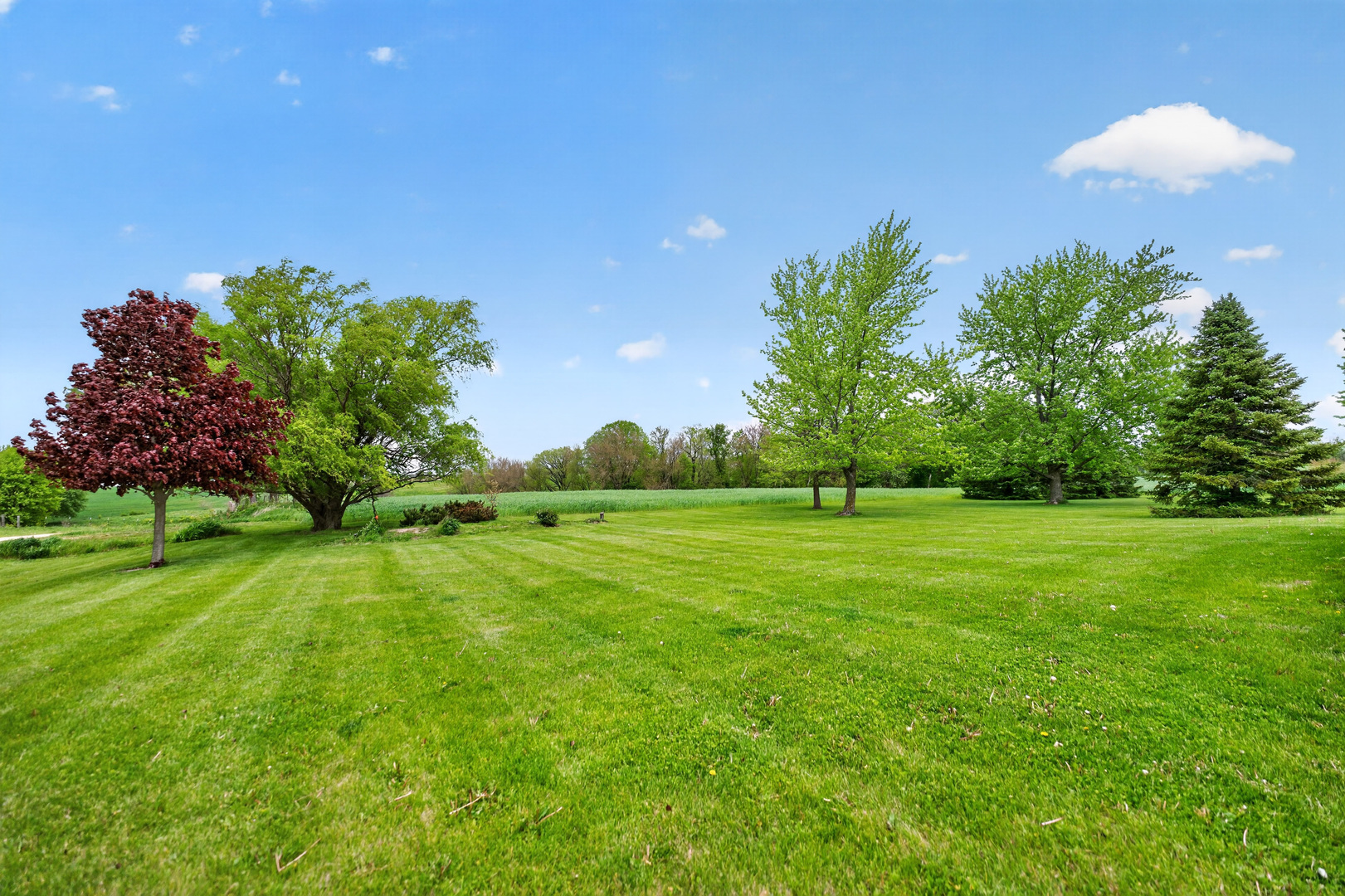 8086 Kane Road Property Photo 38
