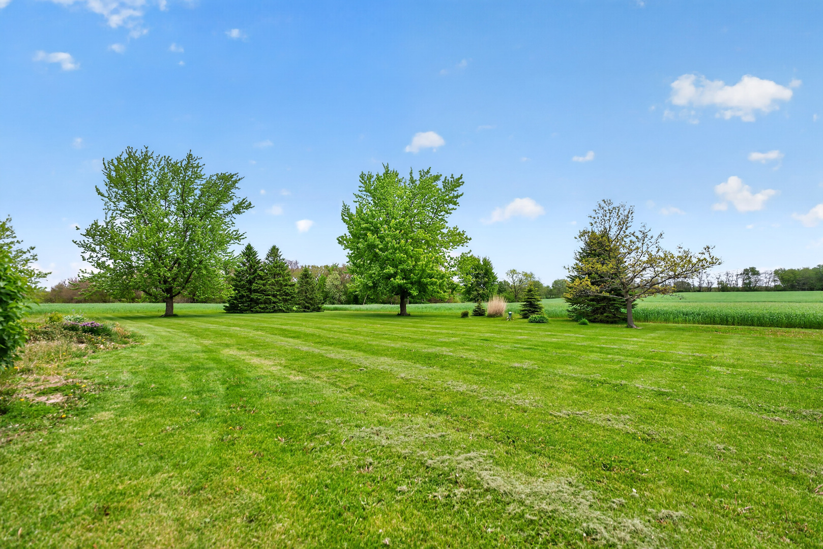 8086 Kane Road Property Photo 40