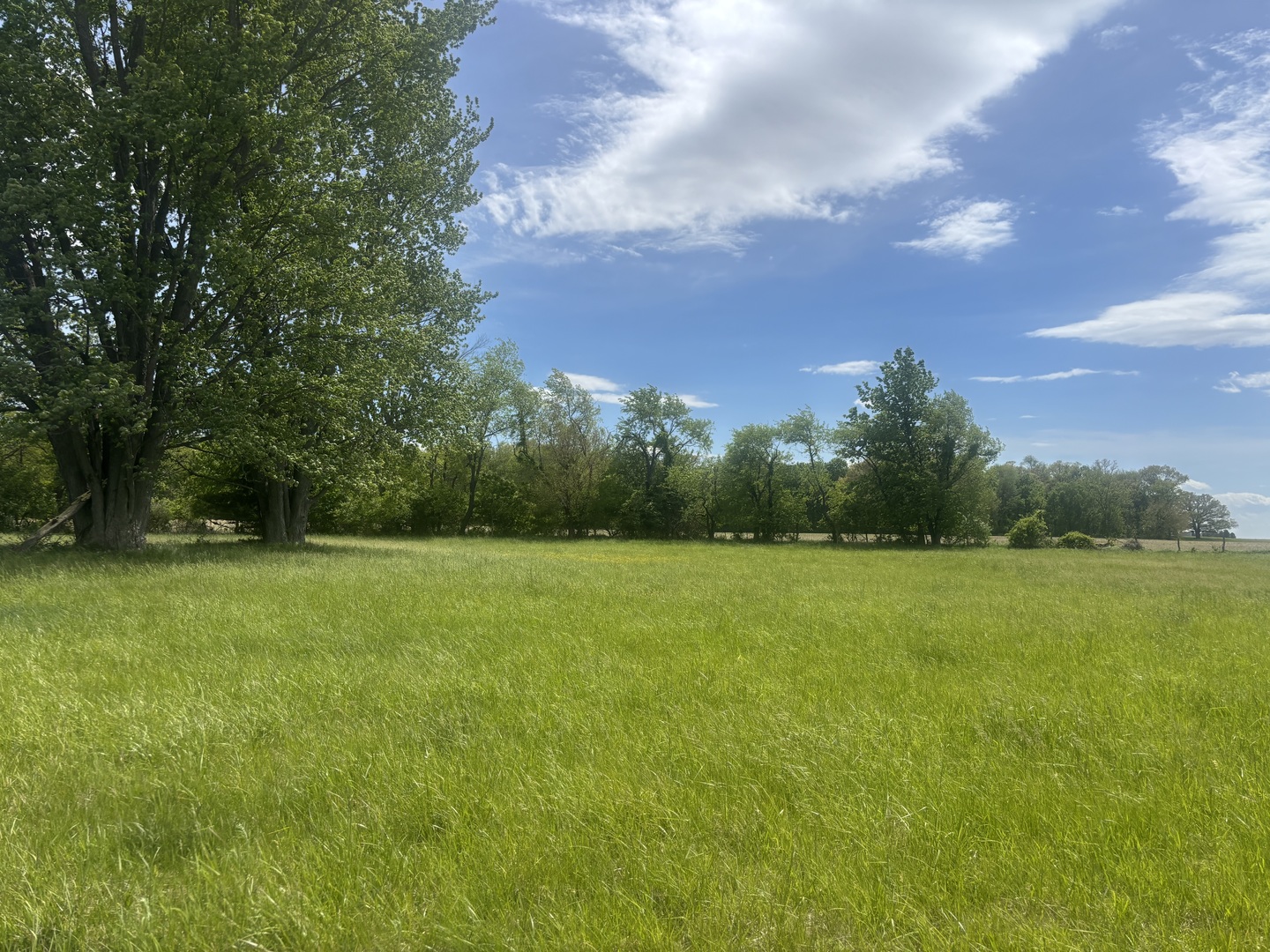 827 Brookside Drive Property Photo 2