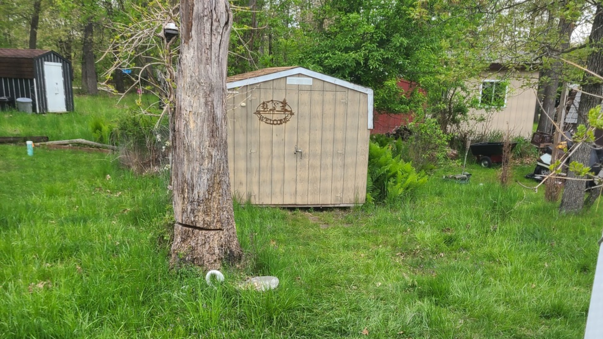 4/213 Woodhaven Property Photo 7