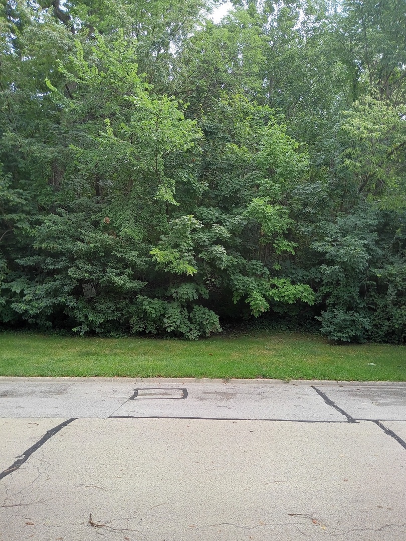 3 Merrimack Court Property Photo 5