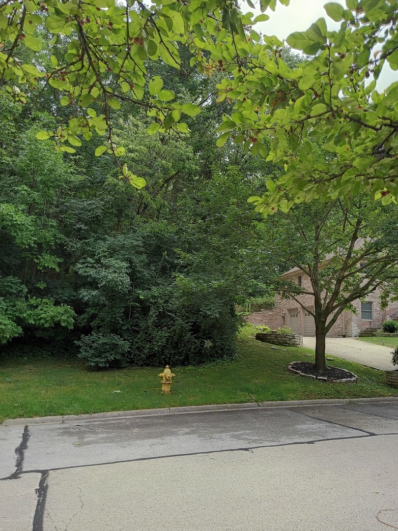 3 Merrimack Court Property Photo 7