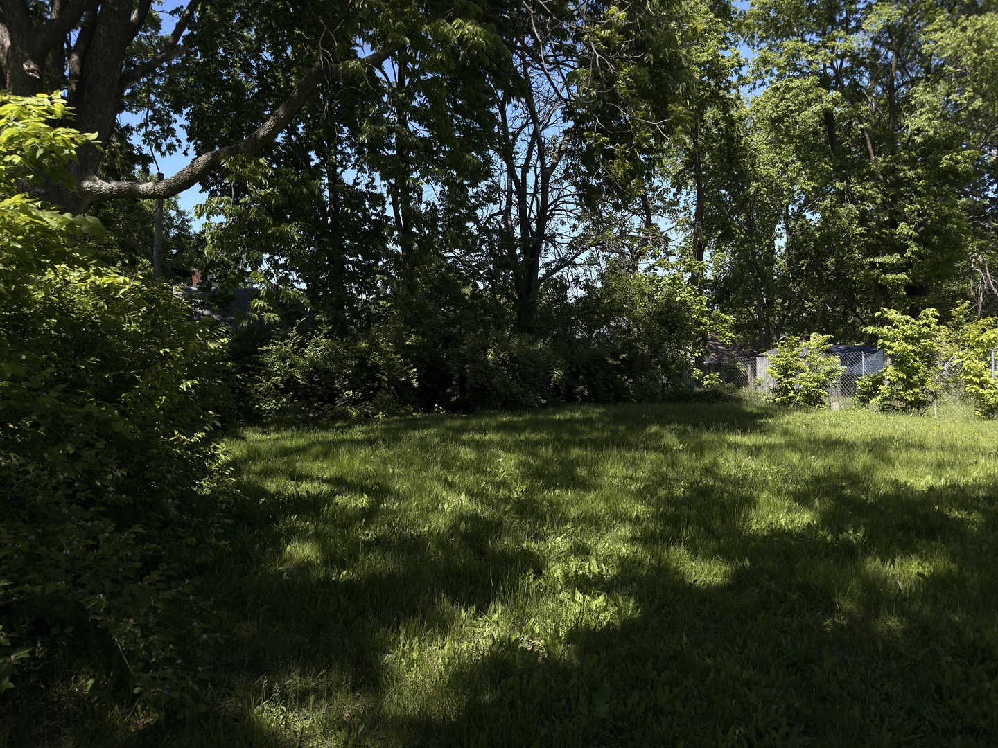 911 W Front Street Property Photo 5