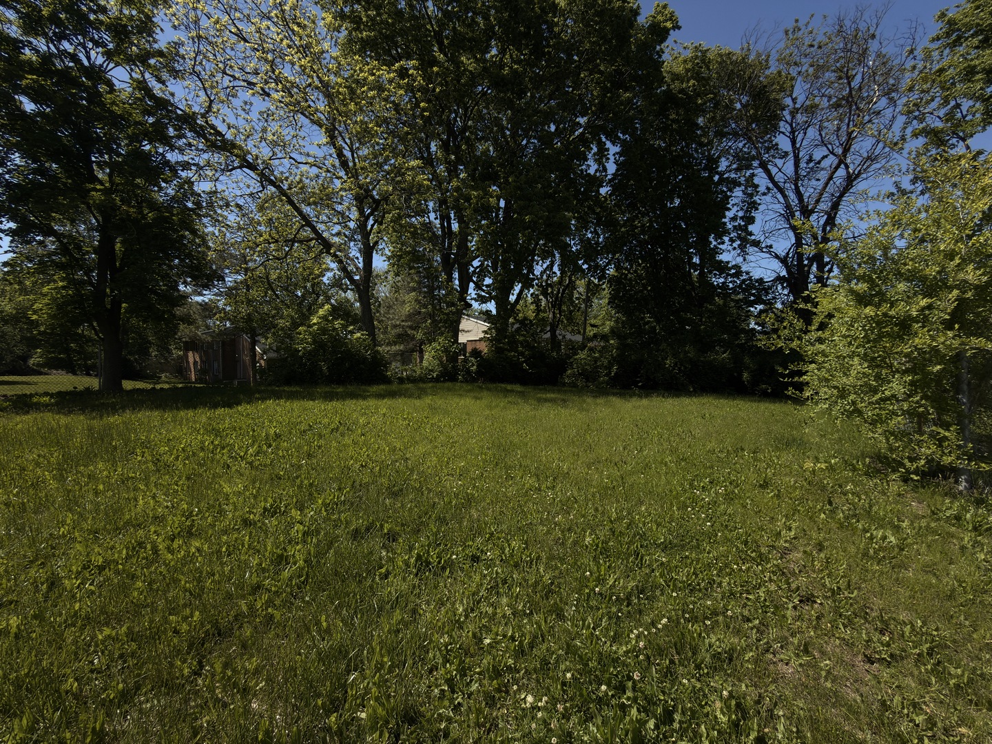 911 W Front Street Property Photo 6