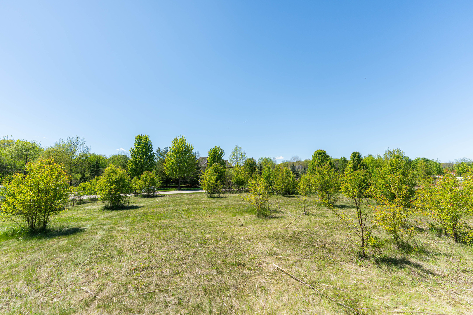 Lot 1 & 2 Deer Pond Drive Property Photo 7