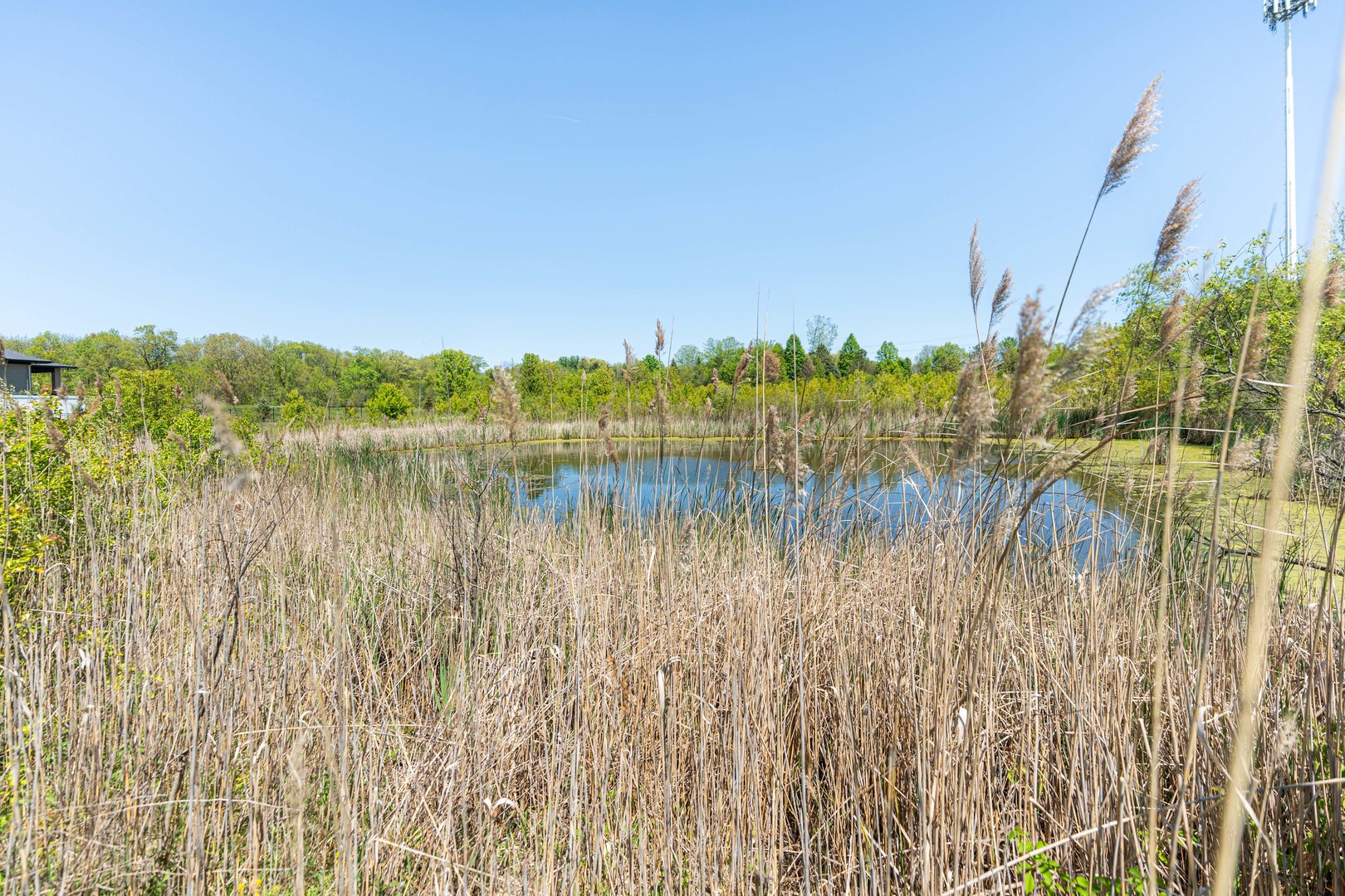 Lot 1 & 2 Deer Pond Drive Property Photo 8