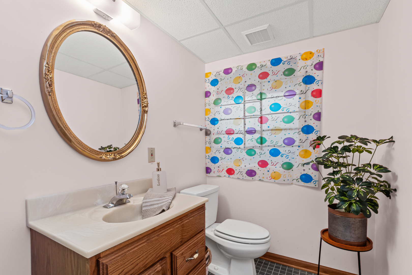 8115 Pluskota Drive Property Photo 29