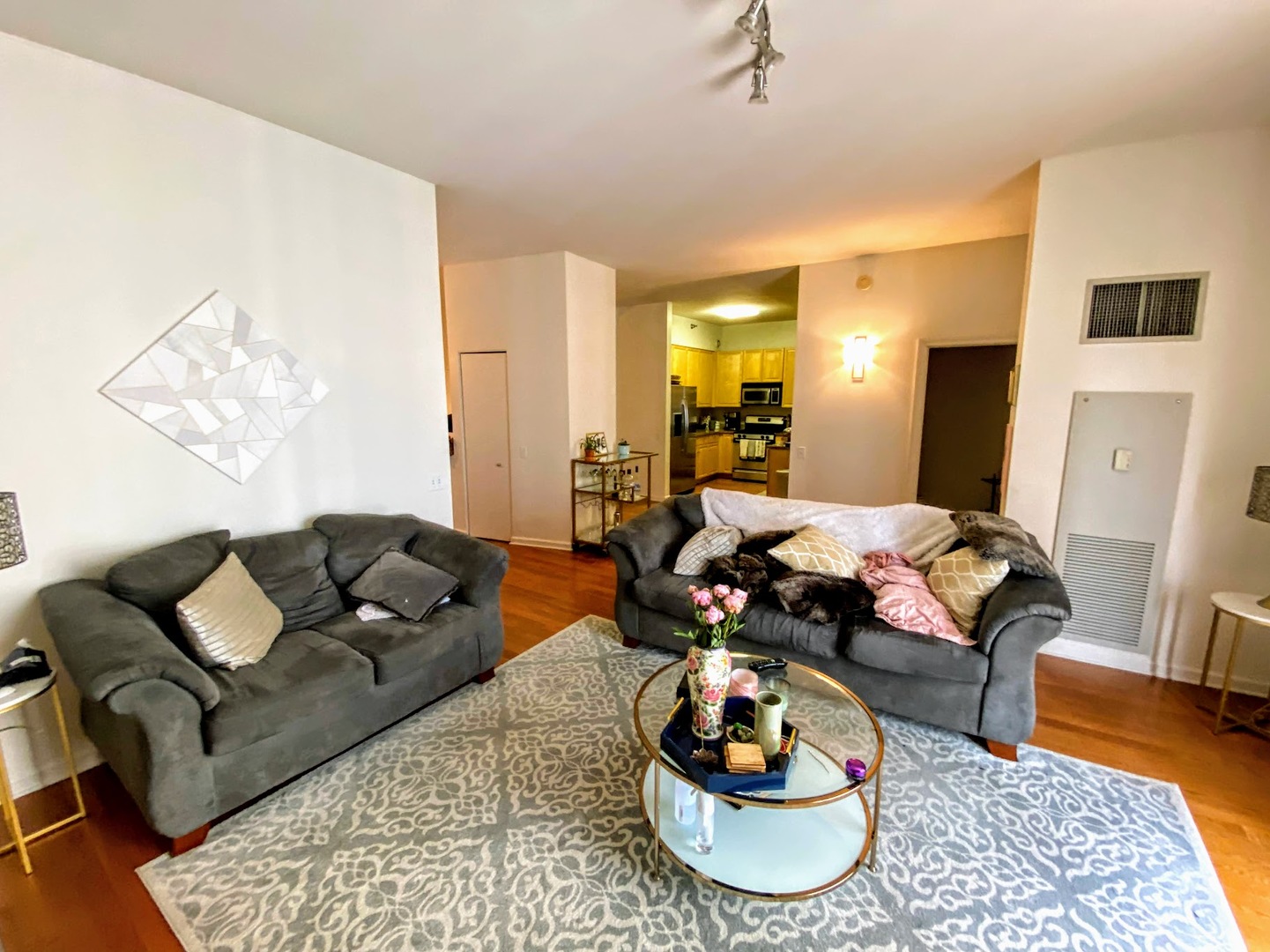 1111 S Wabash Avenue 2904 Property Photo 6