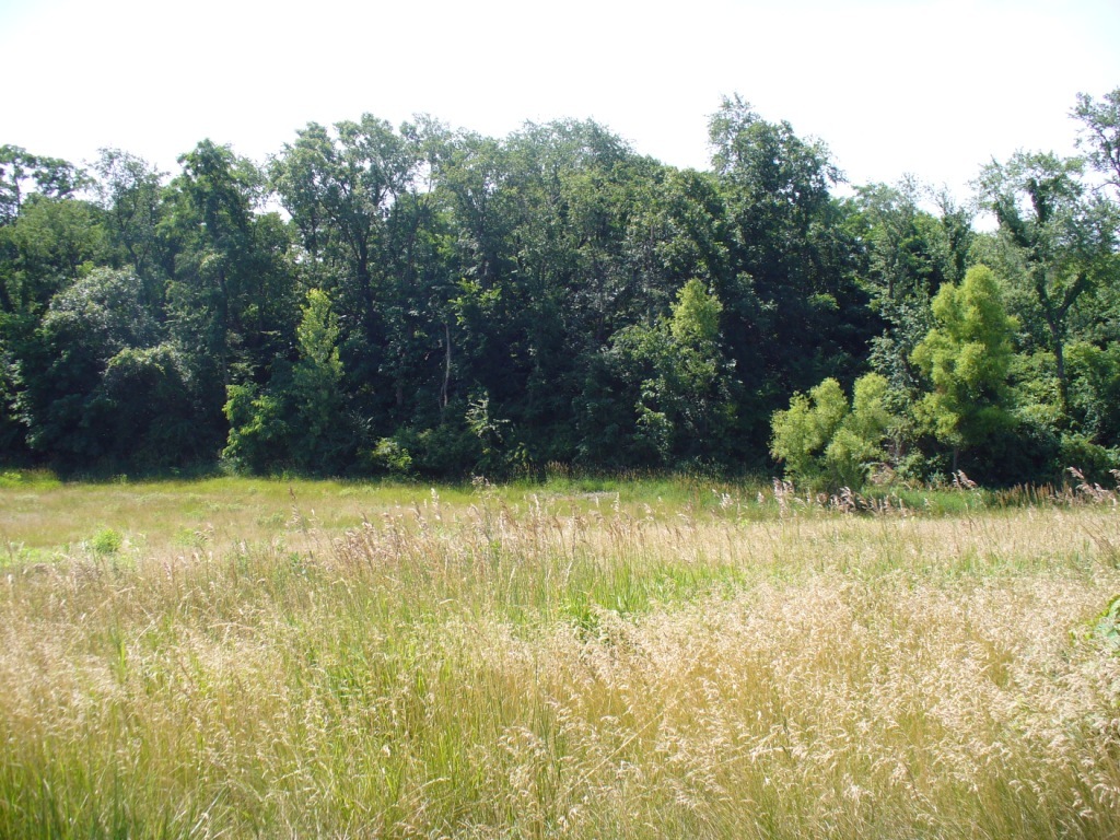 Lot 3 Par Lane Property Photo 1
