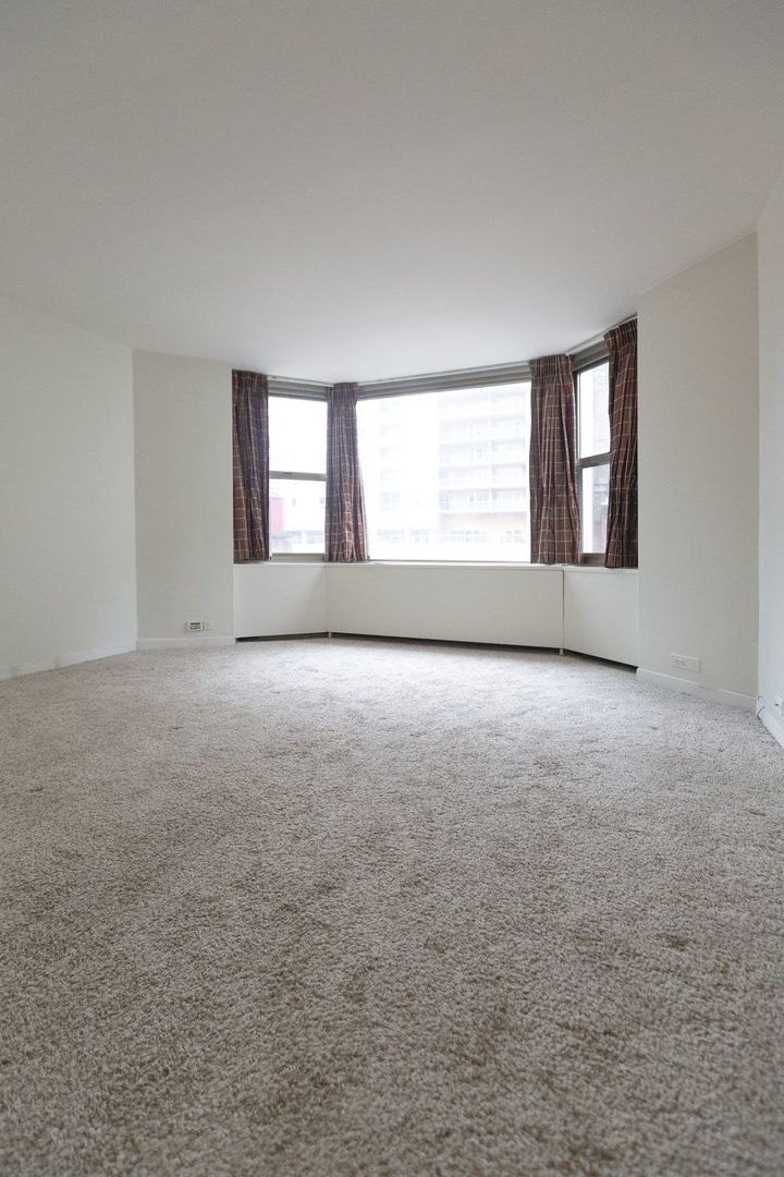 535 N Michigan Avenue 806 Property Photo 7