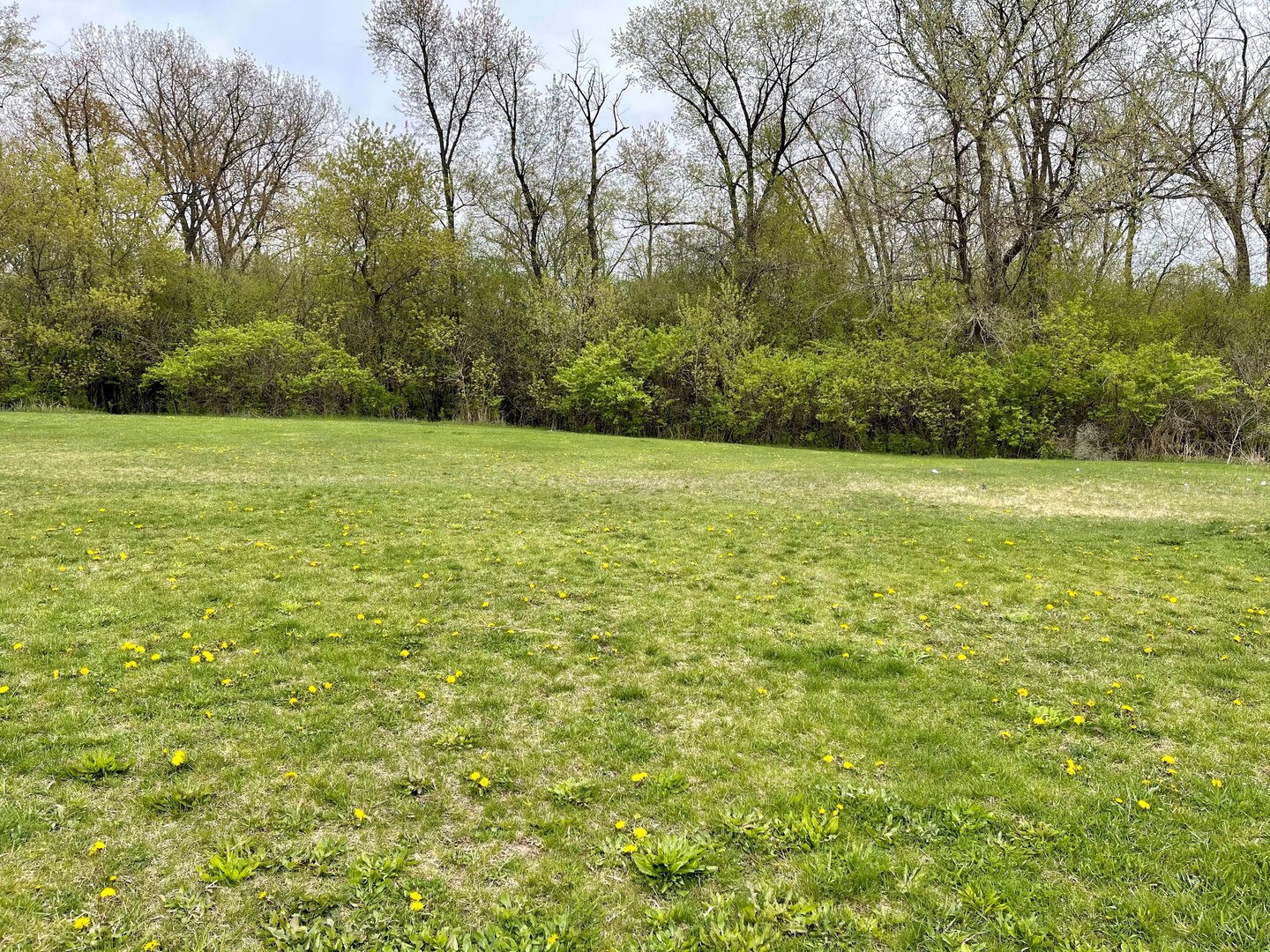 3736 Thunderbird Lane Property Photo 3