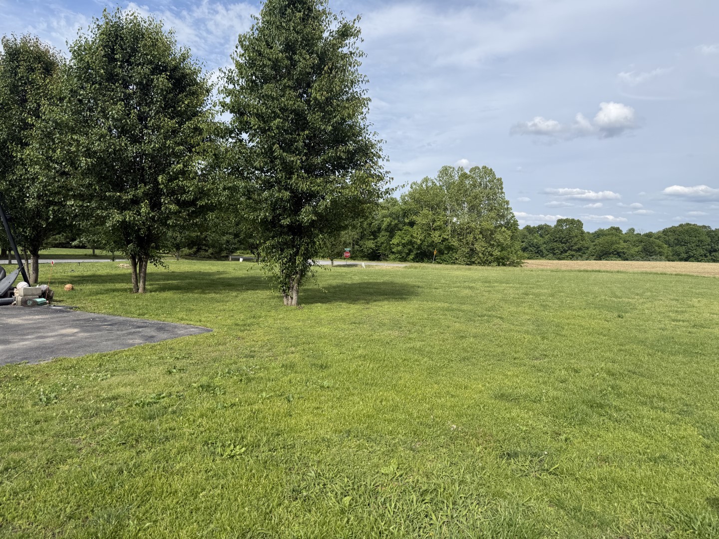 1388 Morning Glory Road Property Photo 14