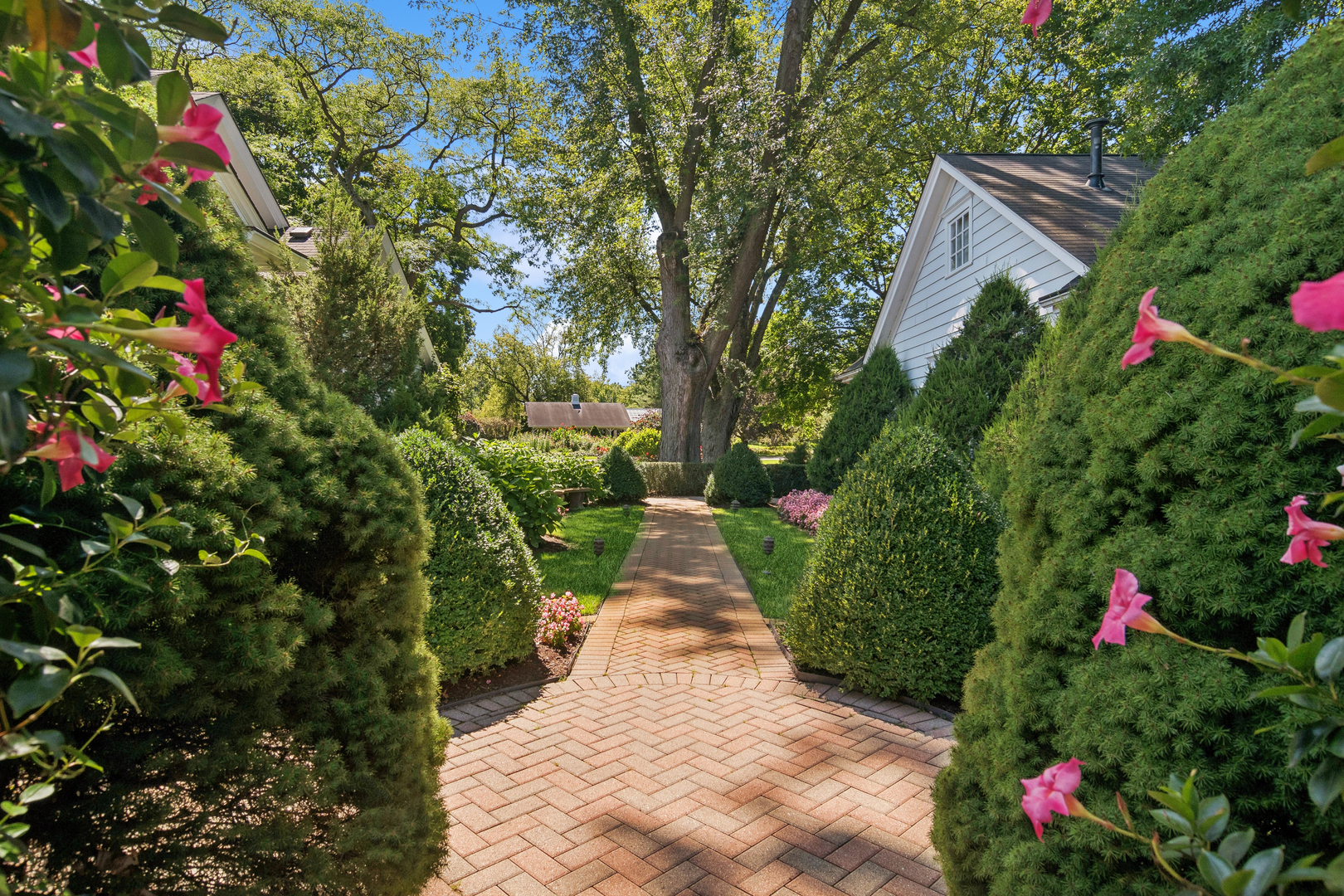 12647818 Property Photo 46