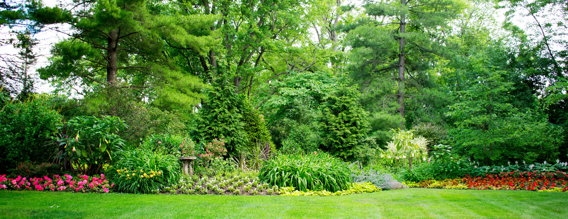 12647818 Property Photo 62