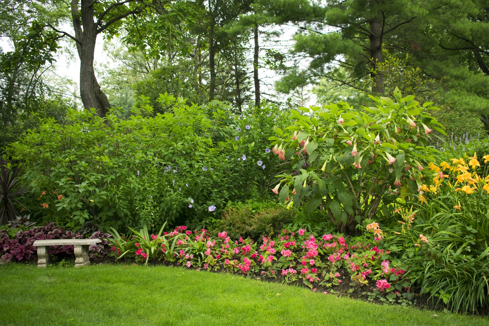12647818 Property Photo 64