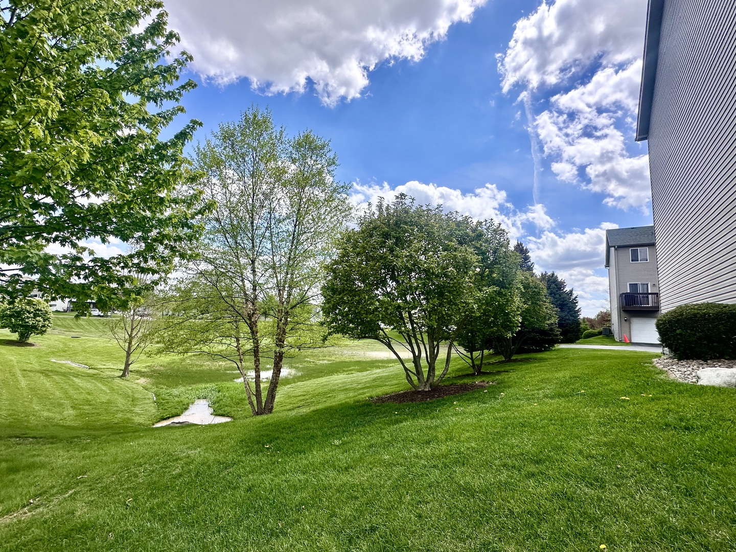 2110 Austrian Pine Street Property Photo 2