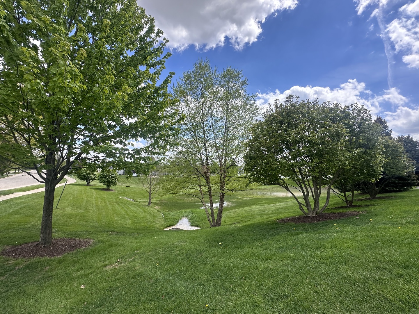 2110 Austrian Pine Street Property Photo 16