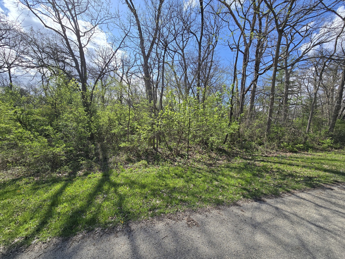 211 Maple Lane Property Photo 5