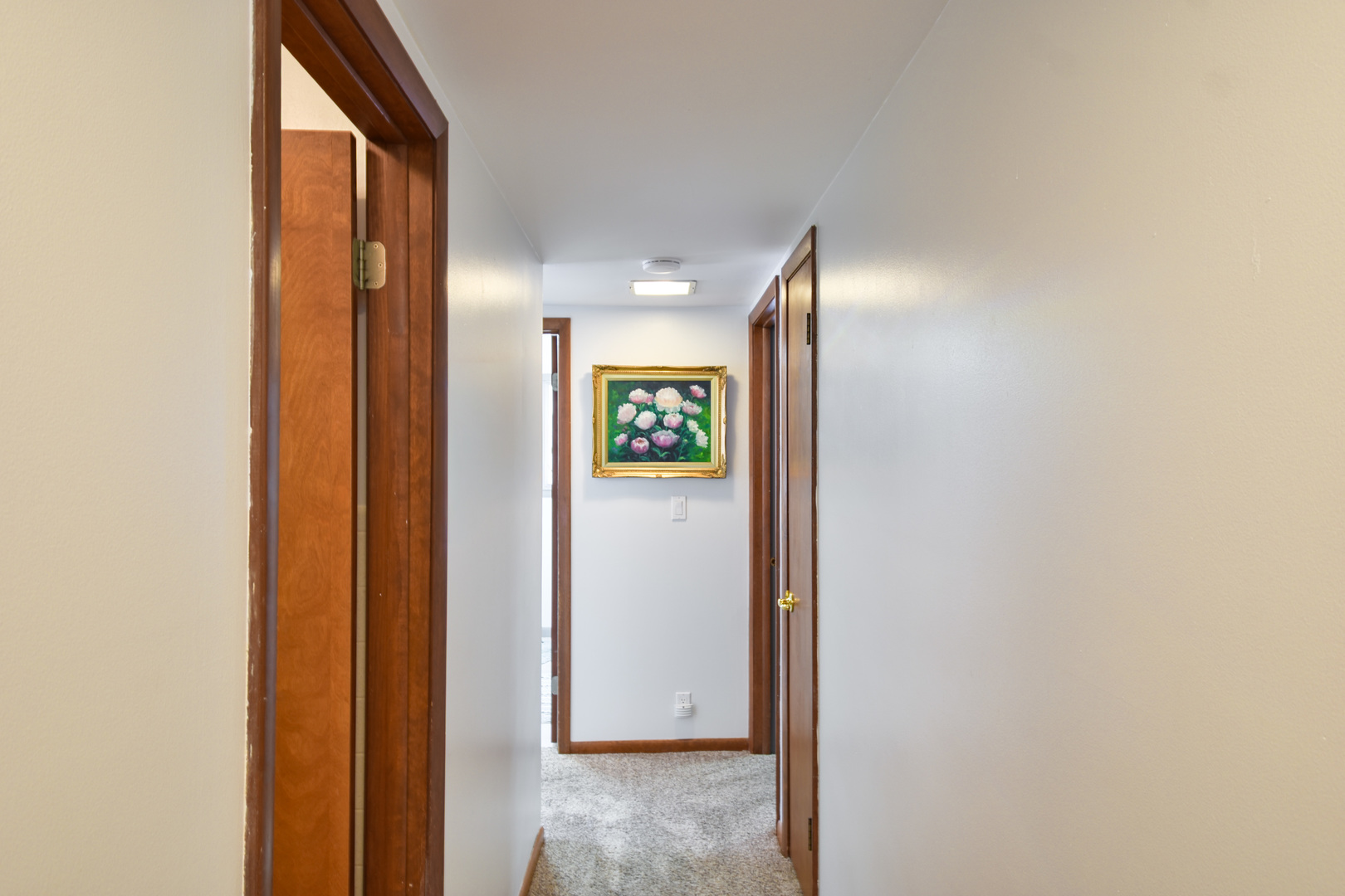907 Illini Avenue Property Photo 24