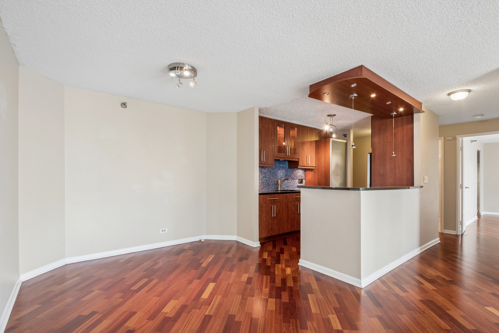 195 N Harbor Drive 4209 Property Photo 4