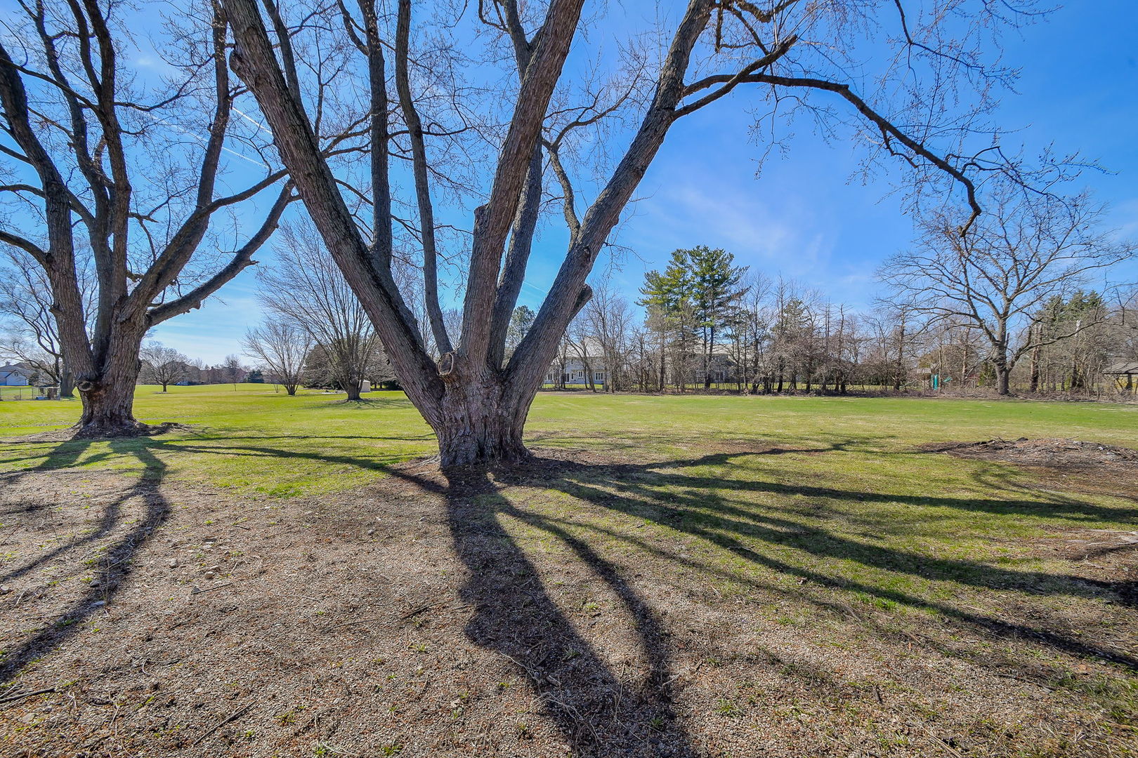 10s198 Route 59 Highway Property Photo 4