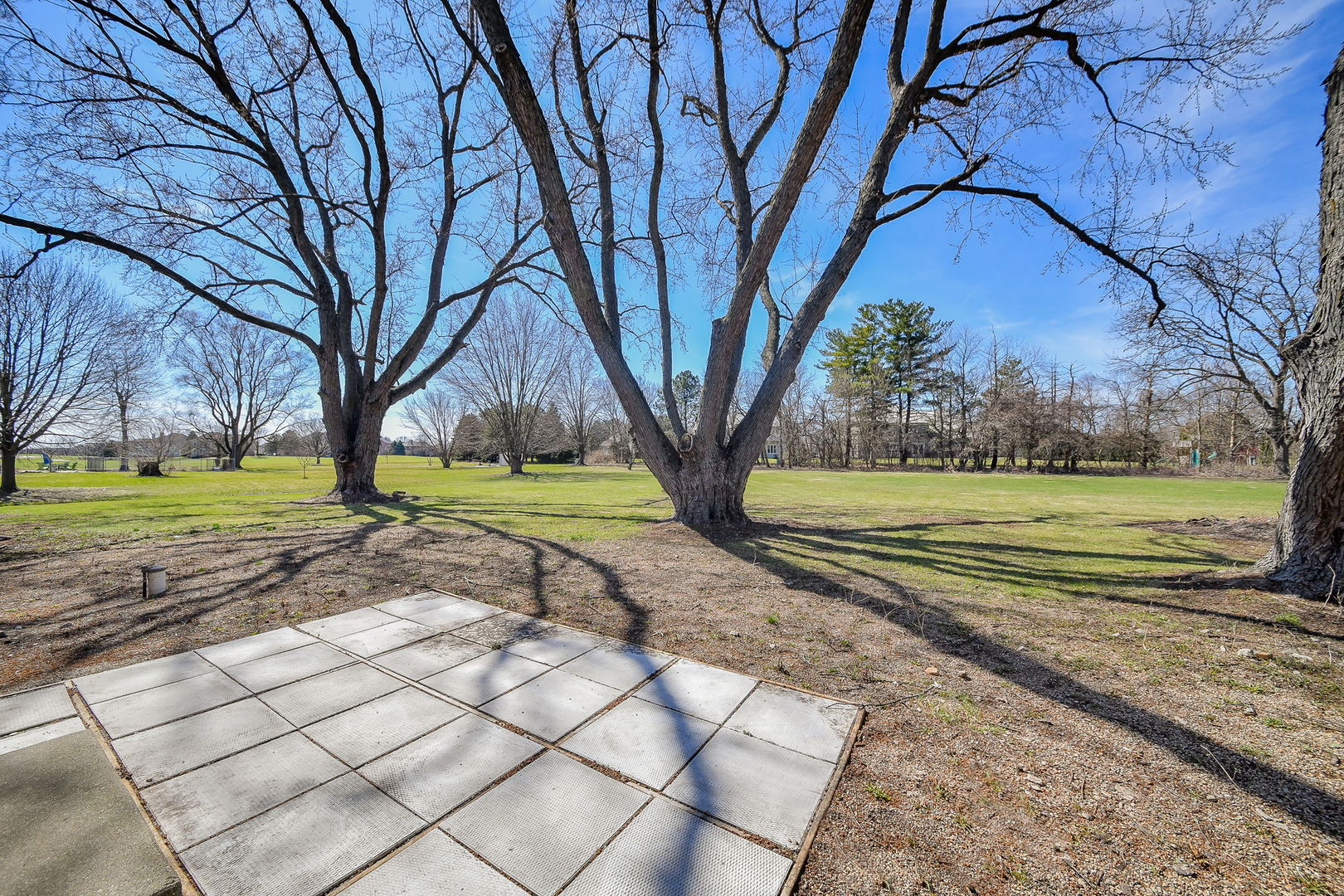 10s198 Route 59 Highway Property Photo 28