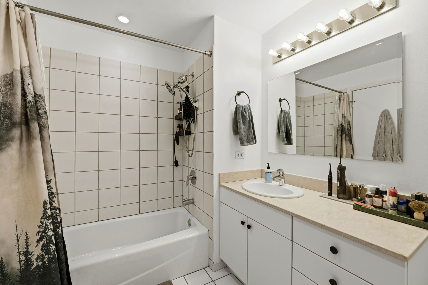 8 E Randolph Street 1506 Property Photo 16