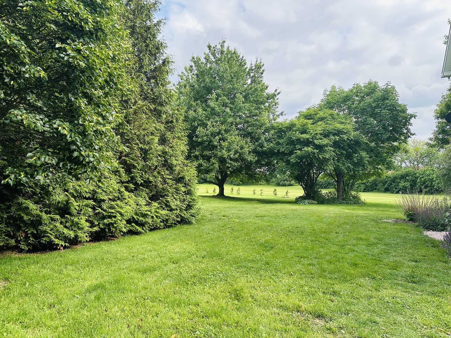 109 Labrador Lane Property Photo 49
