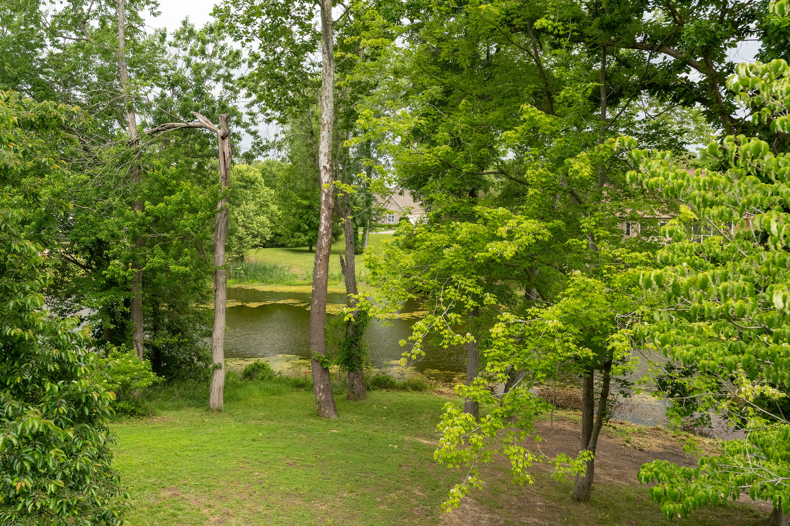 500 Arbor Drive Property Photo 28