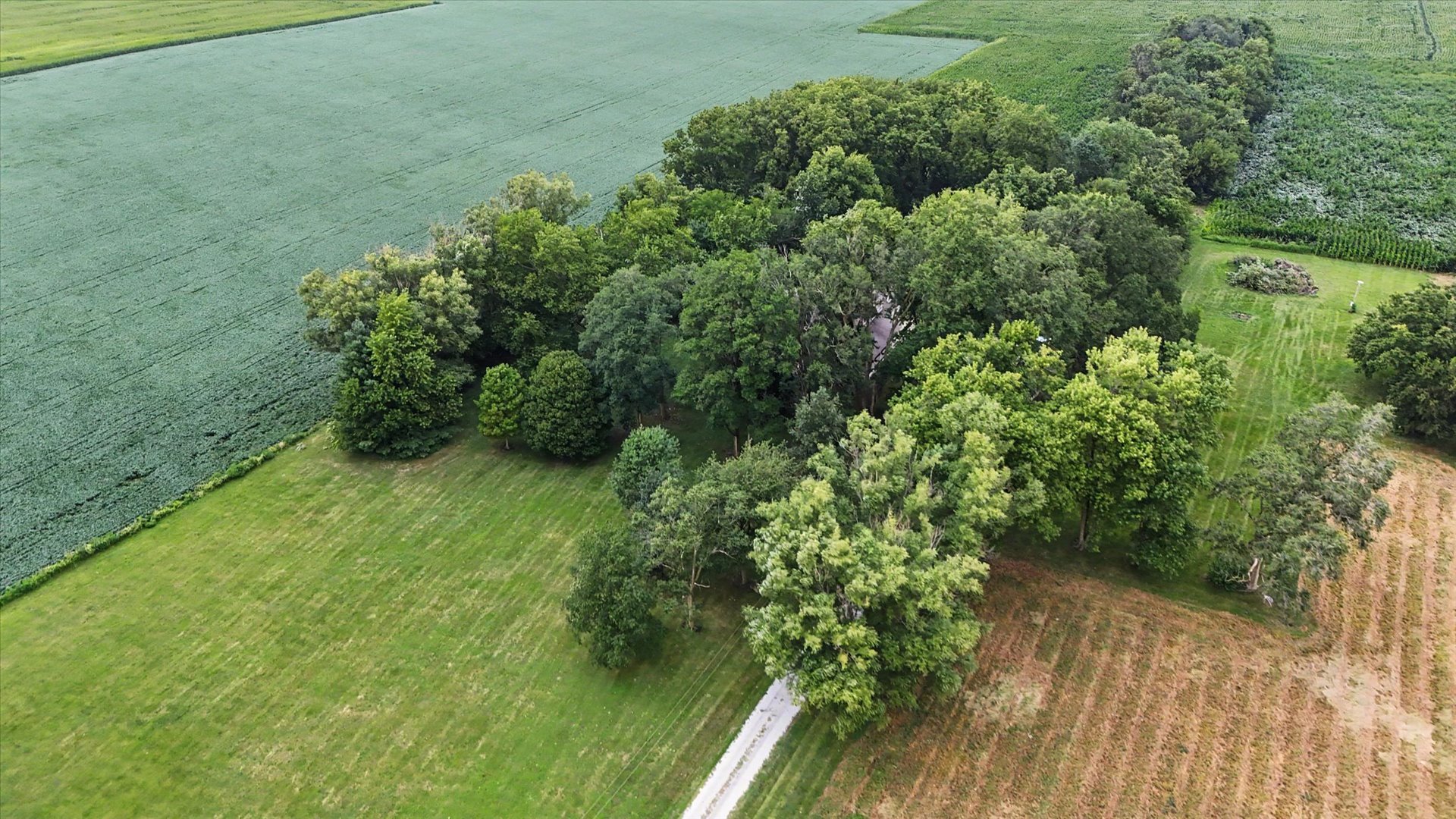 268 County Road 700 N Property Photo 4