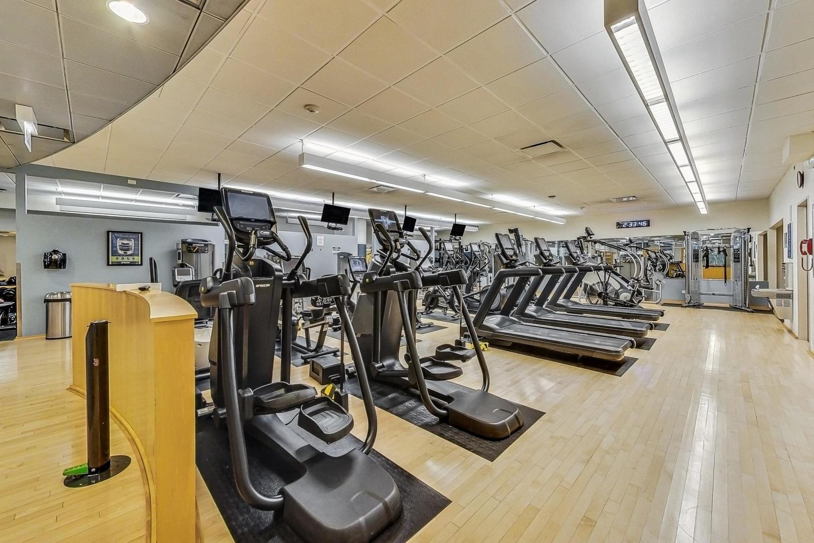 505 N Lake Shore Drive 708-709 Property Photo 49
