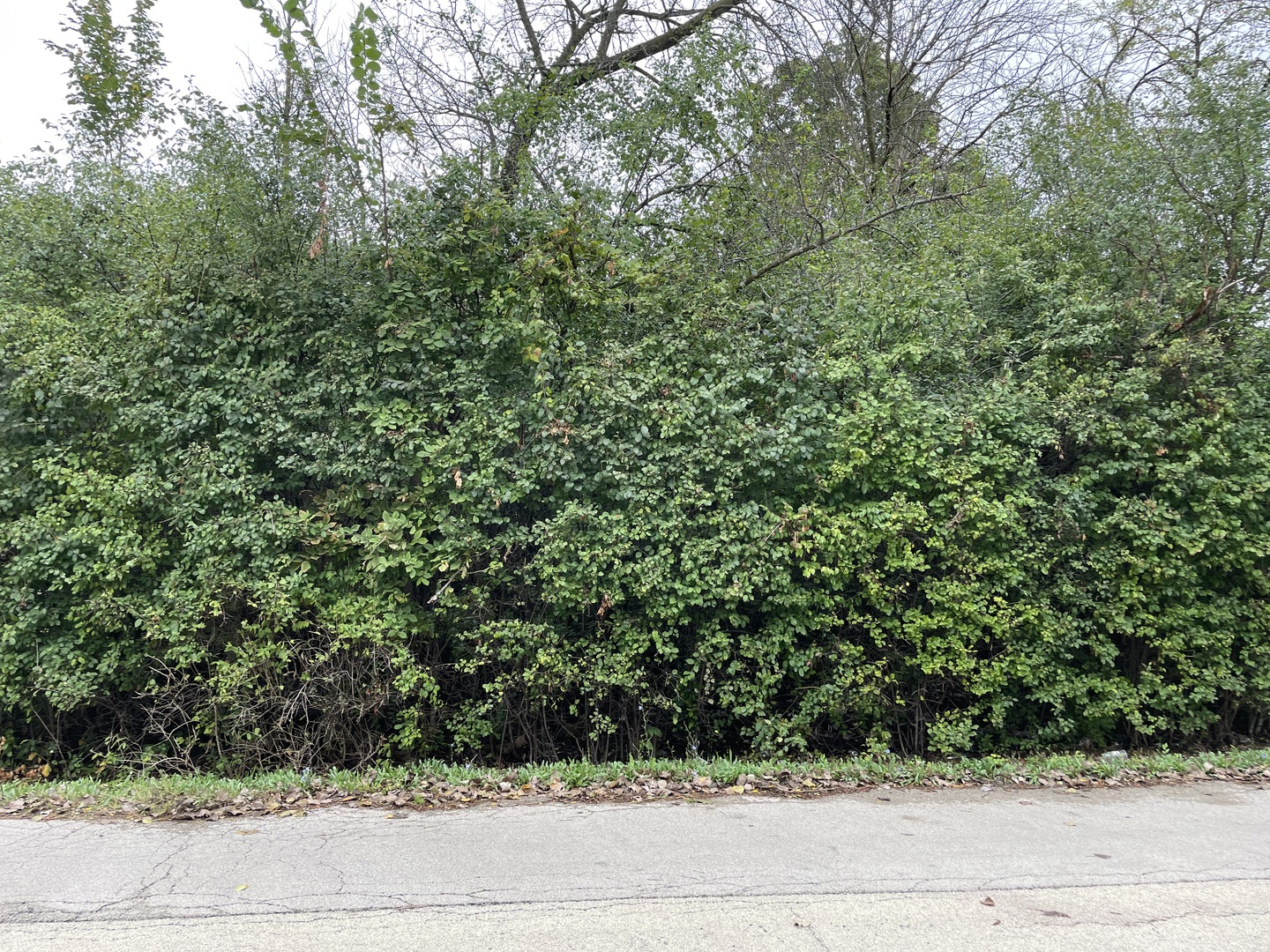 000 Redbud Drive Property Photo 1