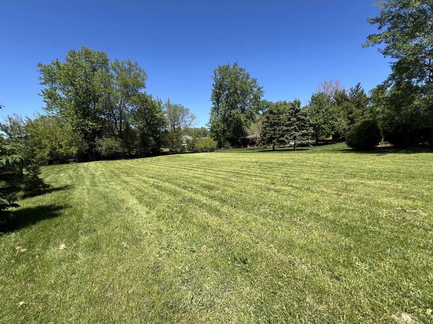 730 Plainfield Road Property Photo 8
