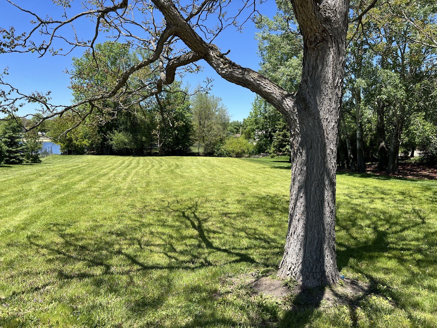 730 Plainfield Road Property Photo 10