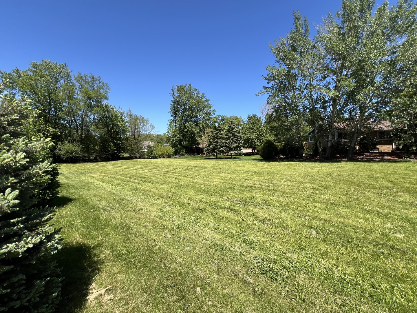 730 Plainfield Road Property Photo 12