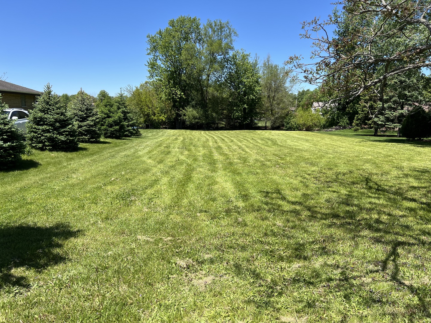 730 Plainfield Road Property Photo 13