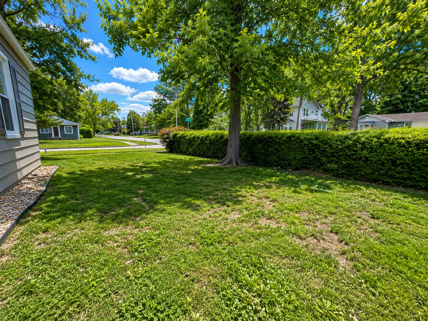 831 E 5th Street Property Photo 16