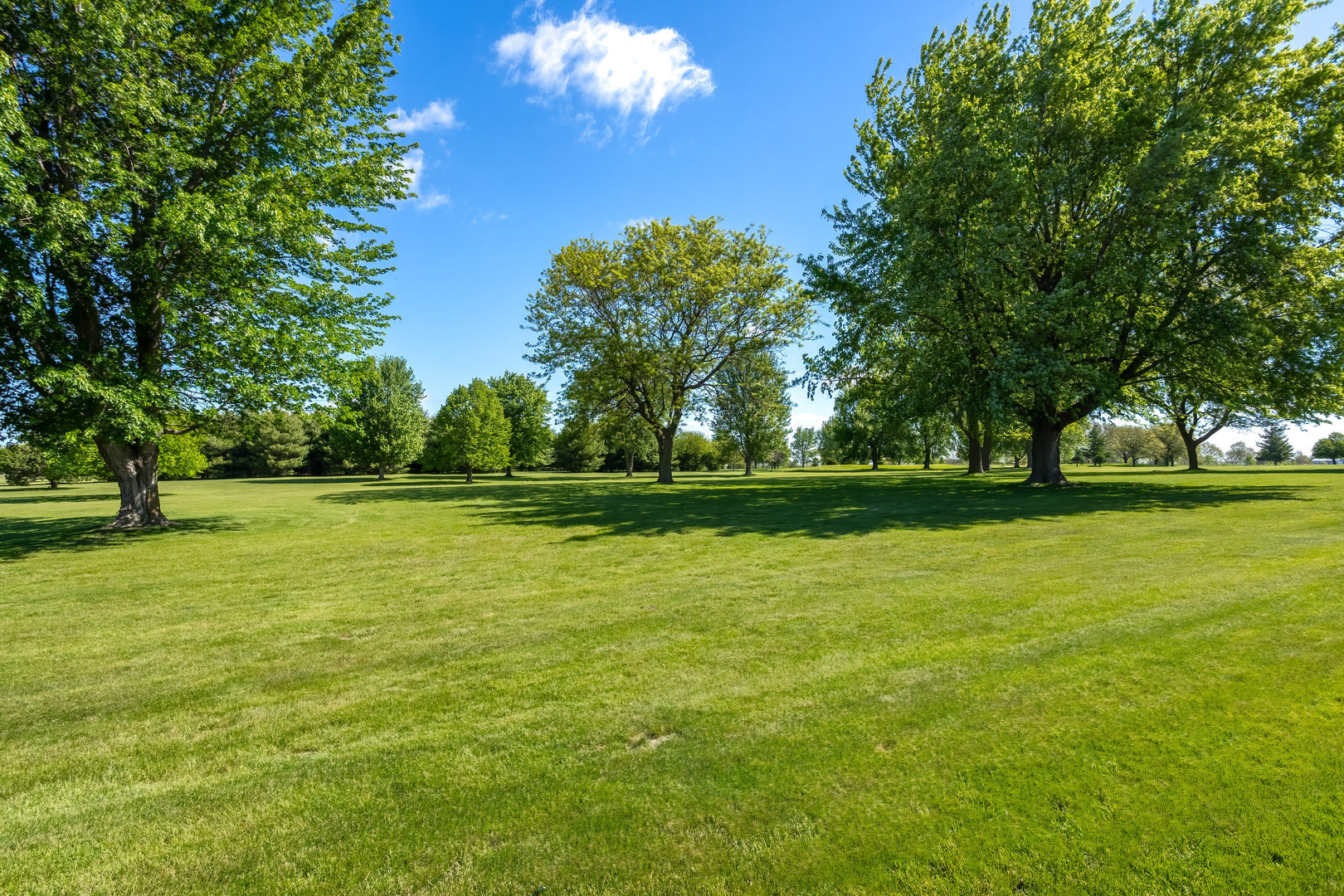 920 Rustic View Court Property Photo 58