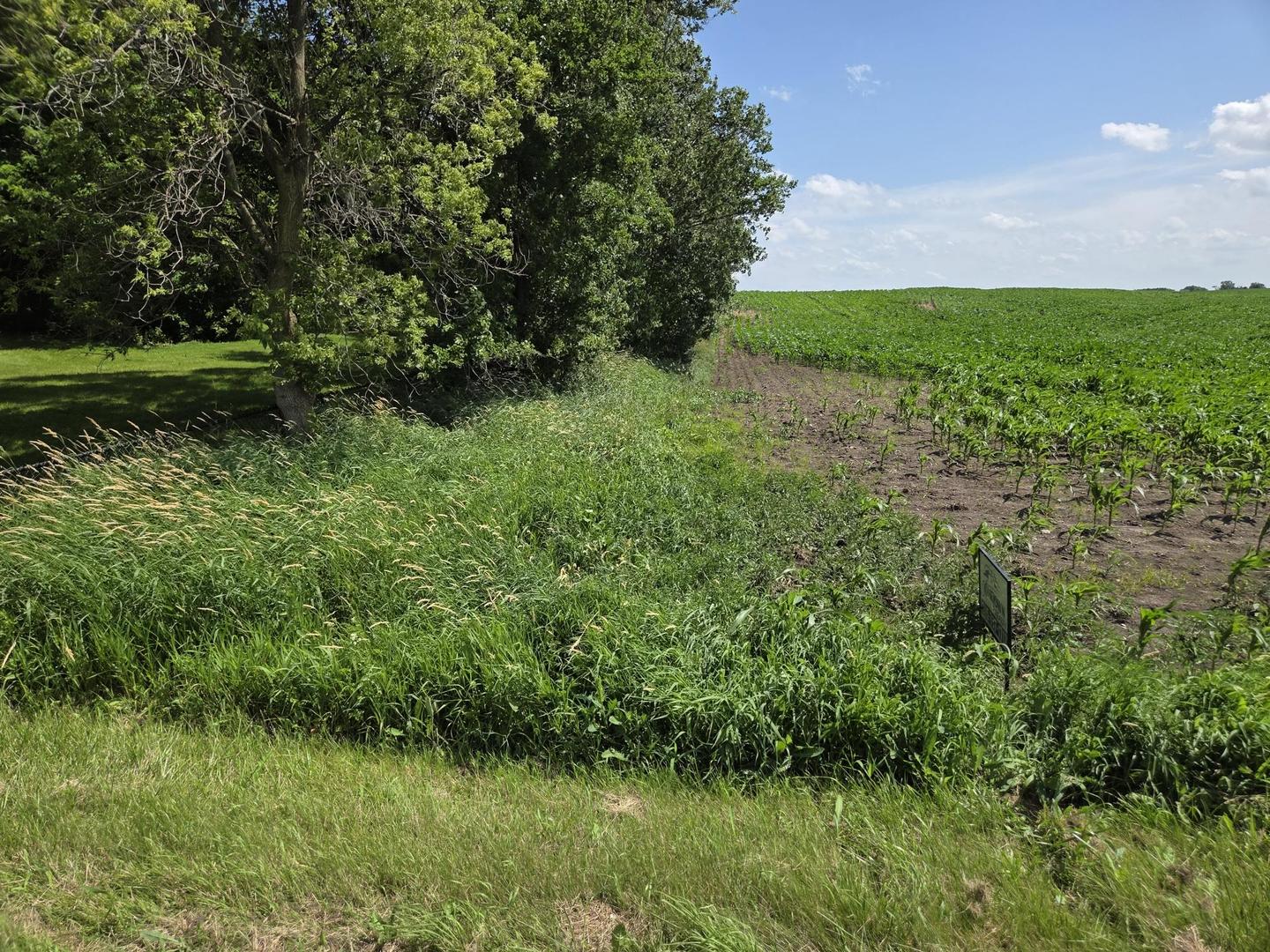 7411 Conley Road Property Photo 4