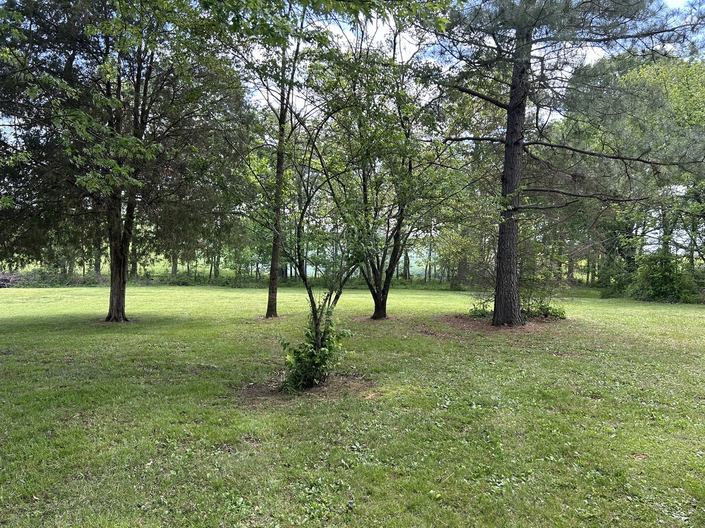 1 Bushwack Road Property Photo 11